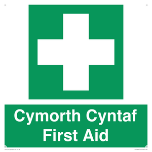 Cymorth Cyntaf First Aid in Welsh